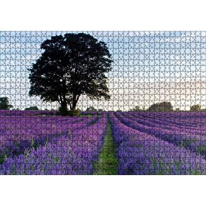 Lavanta Tarlaları Ve Yalnız Ağaç Puzzle Yapboz Mdf Ahşap 1000 Parça