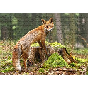 Ormanda Kütük Üzerindeki Çelimsiz Tilki Puzzle Yapboz Mdf Ahşap 255 Parça