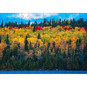 Sonbaharın Tüm Renkleri Puzzle Yapboz Mdf Ahşap 120 Parça