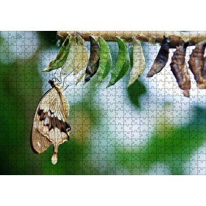 Kelebek Kozası Ve Renkli Kelebek Görseli Puzzle Yapboz Mdf Ahşap 500 Parça