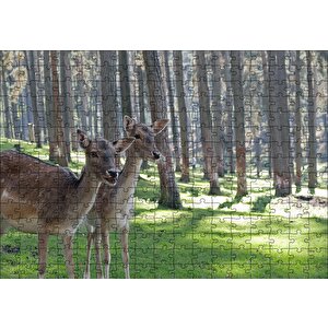 Orman Yeşil Çimler Ve İki Dişi Geyik Puzzle Yapboz Mdf Ahşap 255 Parça