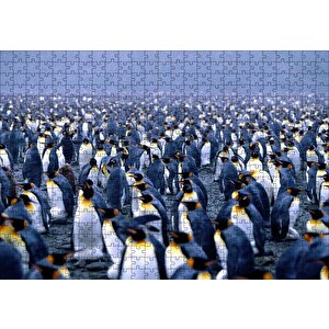 İmparator Penguenleri Mahşer Kalabalığı Puzzle Yapboz Mdf Ahşap 500 Parça