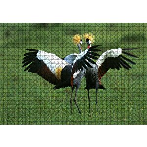 Çayırda Dans Eden Turnalar Puzzle Yapboz Mdf Ahşap 1000 Parça