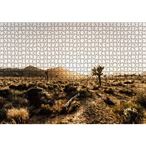 Çölde Gündoğumu Otlar Ve Kaktüsler Puzzle Yapboz Mdf Ahşap 1000 Parça