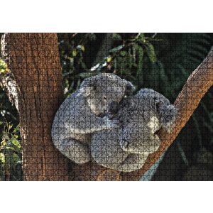 Dalda Koala Kardeşliği Puzzle Yapboz Mdf Ahşap 1000 Parça