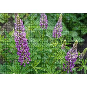 Acı Bakla Çiçeği Ve Yaprakları Puzzle Yapboz Mdf Ahşap 1000 Parça