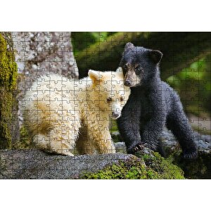 Ormanda Sarı Ve Siya Ayı Yavruları Görseli Puzzle Yapboz Mdf Ahşap 255 Parça