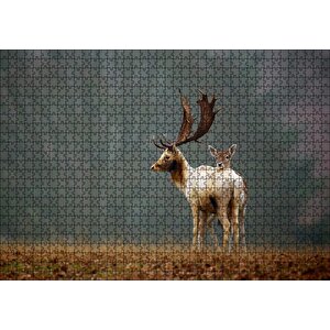 Ormanda Geyik Ve Yavrusu Puzzle Yapboz Mdf Ahşap 1000 Parça