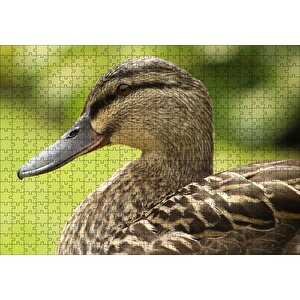Kahverengi Ördek Yakın Plan Puzzle Yapboz Mdf Ahşap 500 Parça