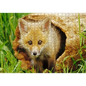Ormanda Kütüğün İçinden Çıkan Meraklı Yavru Tilki Puzzle Yapboz Mdf Ahşap 500 Parça