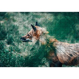 Ormanda Yeşillikler Arasındaki Tilki Puzzle Yapboz Mdf Ahşap 255 Parça