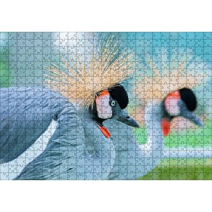 Açık Mavi Renkli Tepeli Turna Görseli Puzzle Yapboz Mdf Ahşap 500 Parça
