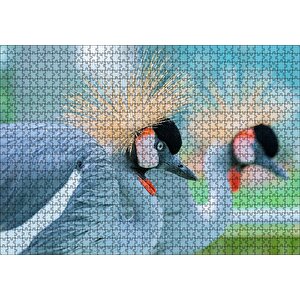 Açık Mavi Renkli Tepeli Turna Görseli Puzzle Yapboz Mdf Ahşap 1000 Parça