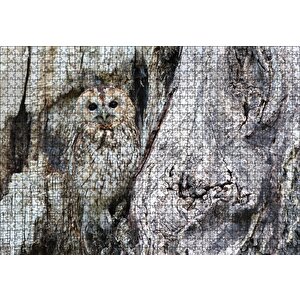 Baykuş Ve Ağaçla Muhteşem Kamuflajı Puzzle Yapboz Mdf Ahşap 1000 Parça