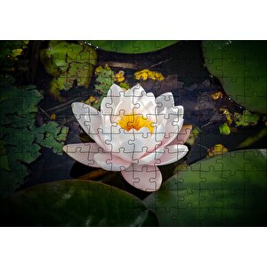 Hint Lotusu Su Üzerinde Görsel Puzzle Yapboz Mdf Ahşap 120 Parça