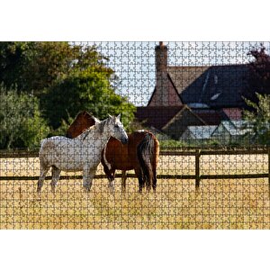 Kahverengi Ve Beyaz Atlar Puzzle Yapboz Mdf Ahşap 1000 Parça