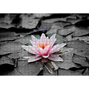 Siyah Beyaz Lotus Yaprakları Ve Pembe Nilüfer Çiçeği Puzzle Yapboz Mdf Ahşap 500 Parça