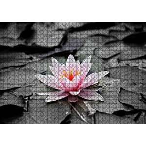 Siyah Beyaz Lotus Yaprakları Ve Pembe Nilüfer Çiçeği Puzzle Yapboz Mdf Ahşap 1000 Parça