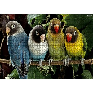 Dalda Sevda Papağanları Puzzle Yapboz Mdf Ahşap 1000 Parça