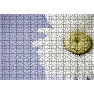 Papatya Yakın Çekim Gökyüzü Arka Plan Puzzle Yapboz Mdf Ahşap 1000 Parça