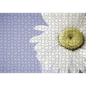 Papatya Yakın Çekim Gökyüzü Arka Plan Puzzle Yapboz Mdf Ahşap 500 Parça