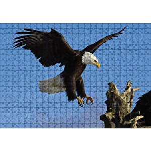 Cakapuzzle  Beyaz Başlı Kartal Konuşu Puzzle Yapboz Mdf Ahşap