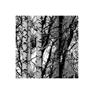 Ağaç Desenli Yapışkanlı Folyo, Siyah Beyaz Görünümlü Mobilya Ve Duvar Kapama Folyosu 0140 45x1500 cm 