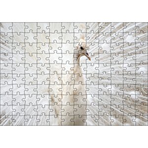 Beyaz Tavus Kuşu Görseli Puzzle Yapboz Mdf Ahşap 120 Parça