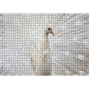 Beyaz Tavus Kuşu Görseli Puzzle Yapboz Mdf Ahşap 1000 Parça