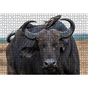 Buffalo Ve Sırtındaki Kuş Arkadaşları Puzzle Yapboz Mdf Ahşap 1000 Parça