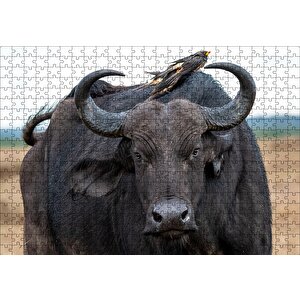 Buffalo Ve Sırtındaki Kuş Arkadaşları Puzzle Yapboz Mdf Ahşap 500 Parça