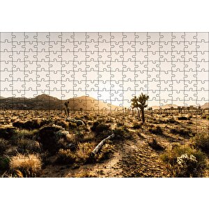 Çölde Gündoğumu Otlar Ve Kaktüsler Puzzle Yapboz Mdf Ahşap 255 Parça