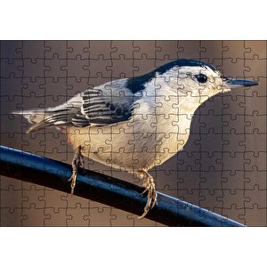 Beyaz Göğüslü Sıvacı Kuşu Görseli Puzzle Yapboz Mdf Ahşap 120 Parça