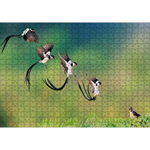 Zaman Atlamalı Fotoğrafçılık Kuş Görseli Puzzle Yapboz Mdf Ahşap 500 Parça