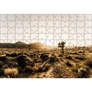 Çölde Gündoğumu Otlar Ve Kaktüsler Puzzle Yapboz Mdf Ahşap 120 Parça