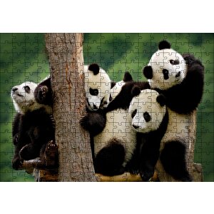 Sevimli Panda Yavruları Puzzle Yapboz Mdf Ahşap 255 Parça