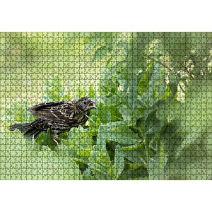 Yeşillikler İçinde Sığırcık Kuşu Görseli Puzzle Yapboz Mdf Ahşap 1000 Parça