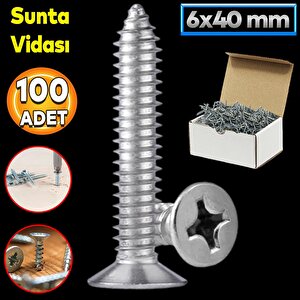 Sunta Vidası 6x40 Mm Paket 200 Adet Sivri Uçlu Ahşap Tahta Ağaç Mobilya Ayak Kulp Vidası