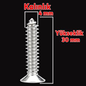 Sunta Vidası 4x30 Paket 500 Adet Sivri Uçlu Ahşap Tahta Ağaç Mobilya Ayak Kulp Vidası