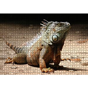 Kumlar Üzerinde Görkemli İguana Puzzle Yapboz Mdf Ahşap 1000 Parça