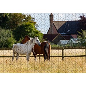 Kahverengi Ve Beyaz Atlar Puzzle Yapboz Mdf Ahşap 500 Parça