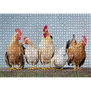 Duvarın Üstünde Kahverengi Beyaz Tavuklar Puzzle Yapboz Mdf Ahşap 1000 Parça