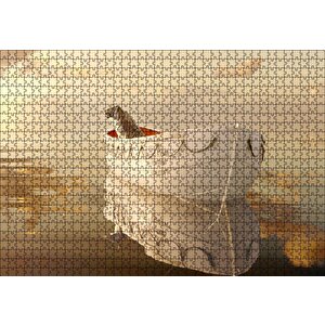 Pi'nin Yaşamı Kaplan Ve Sandal Puzzle Yapboz Mdf Ahşap 1000 Parça