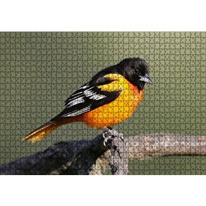 Dalda Turuncu Siyah Egzotik Kuş Puzzle Yapboz Mdf Ahşap 1000 Parça