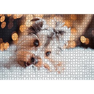 Sevimli Yorkshire Terrier Puzzle Yapboz Mdf Ahşap 1000 Parça