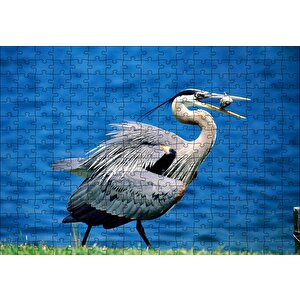 Balıkçıl Ve Ağzında Yemeği Puzzle Yapboz Mdf Ahşap 255 Parça