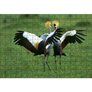 Çayırda Dans Eden Turnalar Puzzle Yapboz Mdf Ahşap 255 Parça