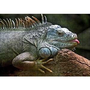 Dalın Üzerinde Dinlenen İguana Puzzle Yapboz Mdf Ahşap 120 Parça
