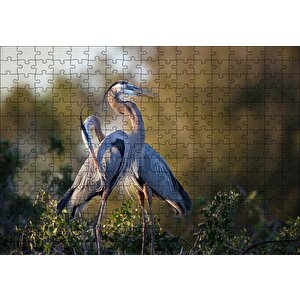 Günbatımında Balıkçıl Çift Puzzle Yapboz Mdf Ahşap 255 Parça