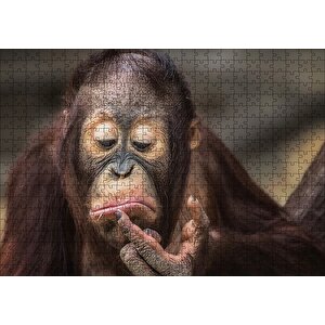 Burnuna Bakan Sevimli Şempanze Puzzle Yapboz Mdf Ahşap 500 Parça